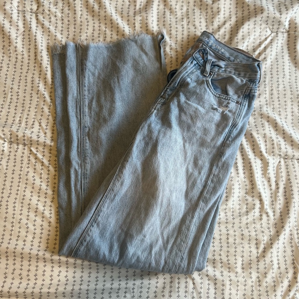 American Eagle Skater Jeans